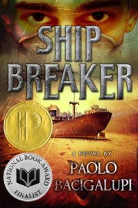 ship breaker