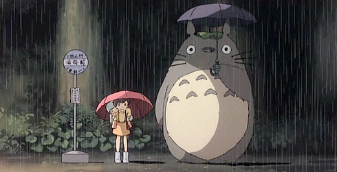totoro