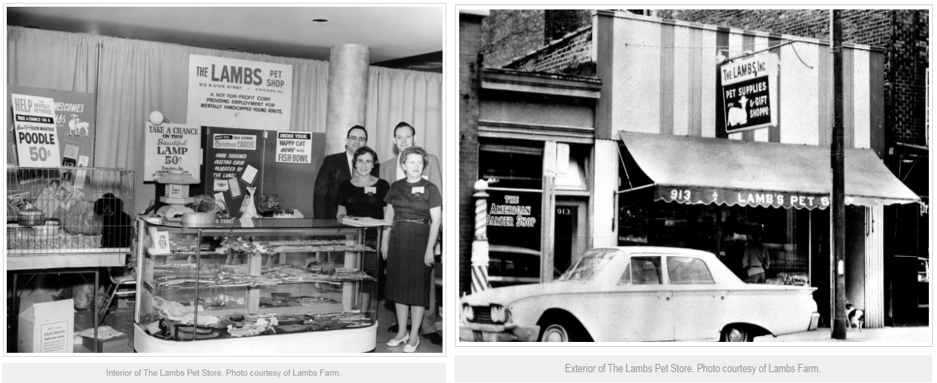 two photos!