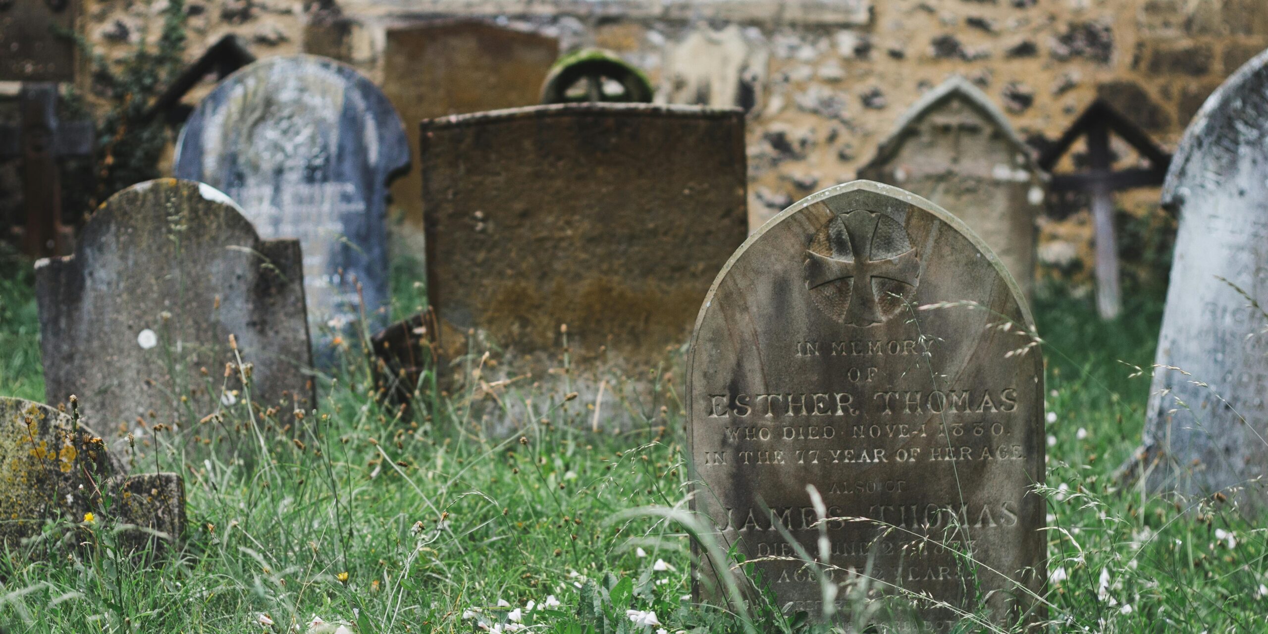 Image of Cemetery Headstones in Tall Green Grass