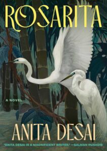 Cover art from Rosarita, by Anita Desai