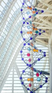DNA Helix Structure Sculpture