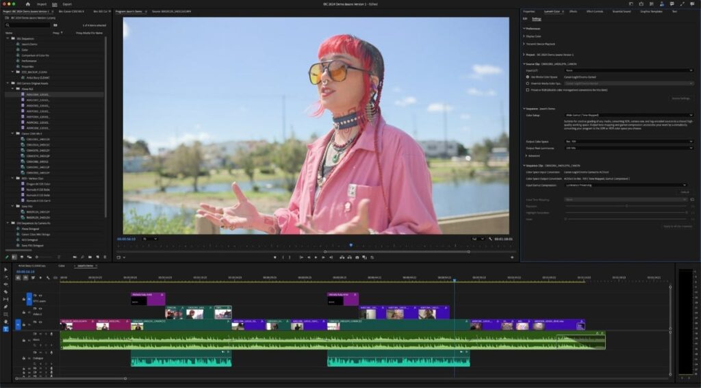 Screenshot of Adobe Premier Pro software