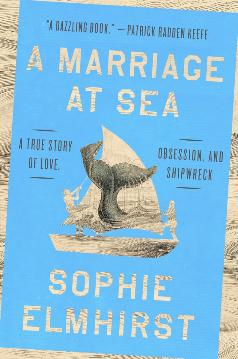 Book Cover - picture of whale fluke hitting a ship