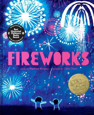 Cover of the book Fireworks